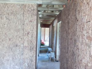 IMG_20250117_141548