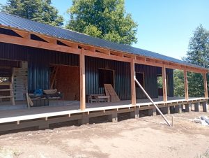IMG_20250117_141808
